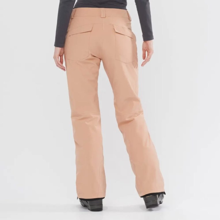 Pantalones De Esquí Salomon Edge Mujer Albaricoque | MX VDLN593
